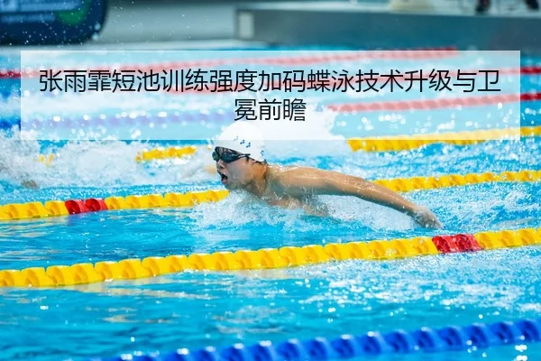 张雨霏短池训练强度加码蝶泳技术升级与卫冕前瞻
